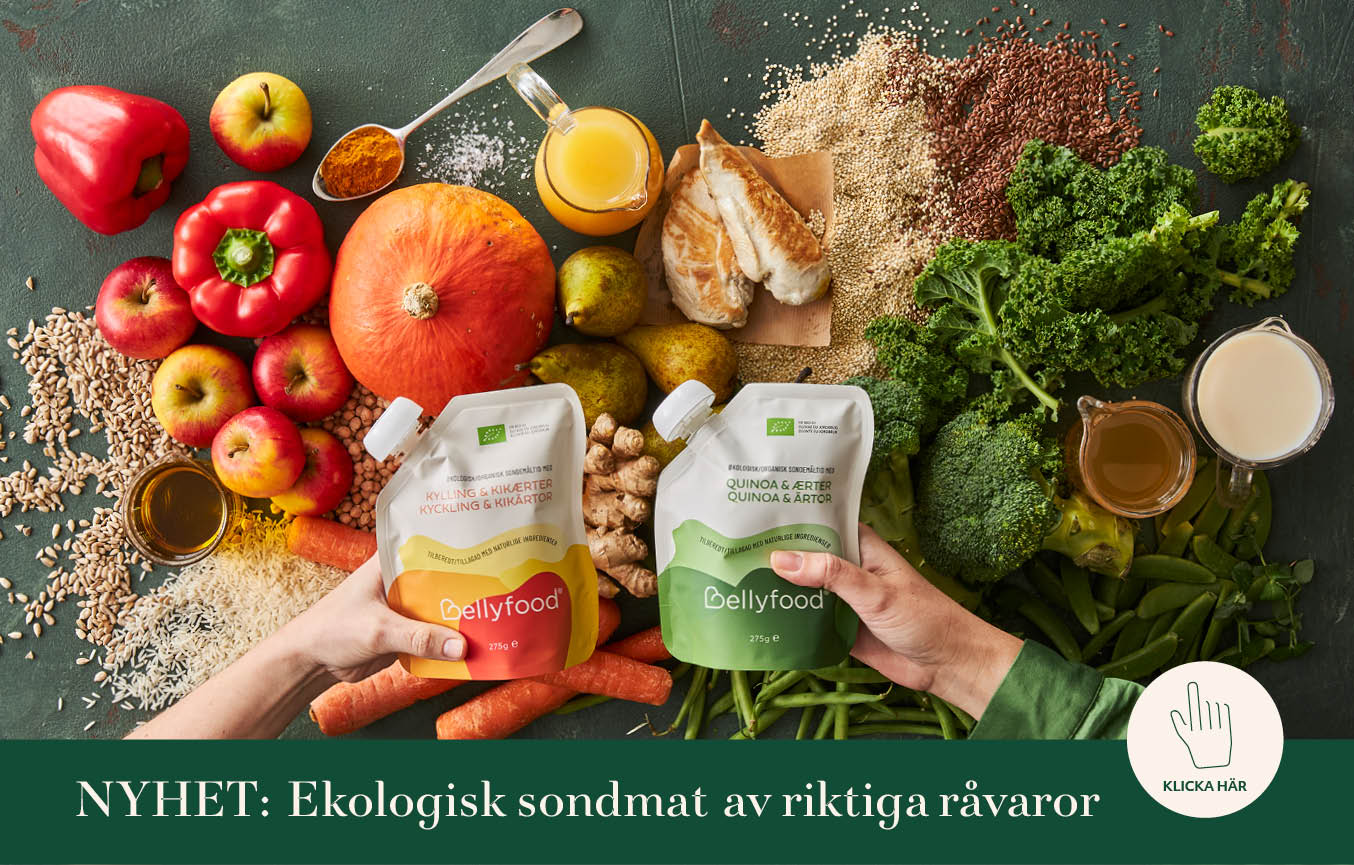 bellyfood_banner_2025_12 bellyfood_banner_2025_12